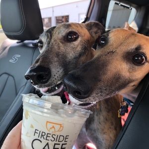 Meet your Posher, Cynthia